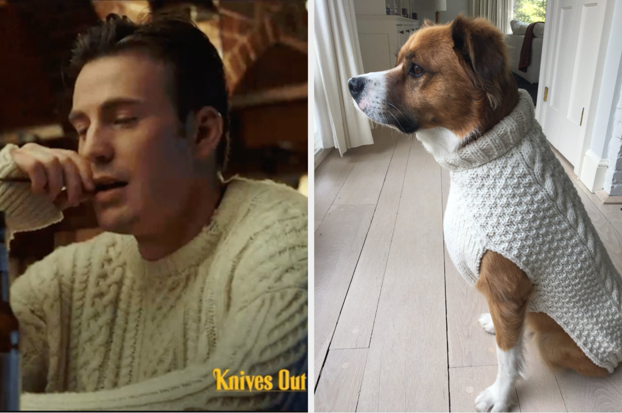 Chris Evans Dressed His Dog In His Cable Knit Sweater From Knives Out
