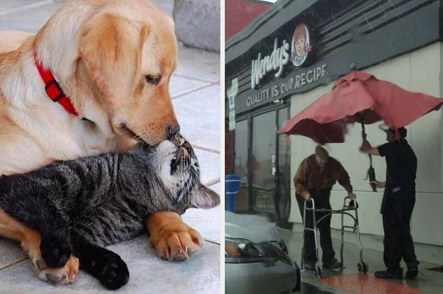 24 Of The Most Wholesome Things That Happened This Decade