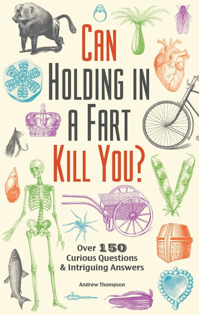 A copy of Can Holding In A Fart Kill You?