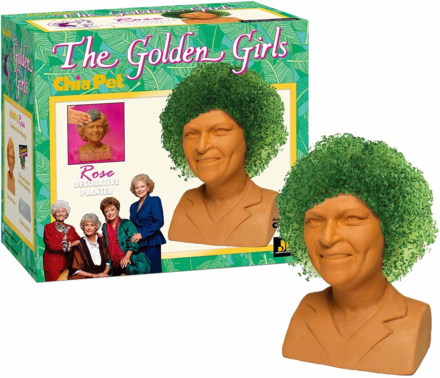 The clay rose Chia Pet, with a hair full of sprouted chia