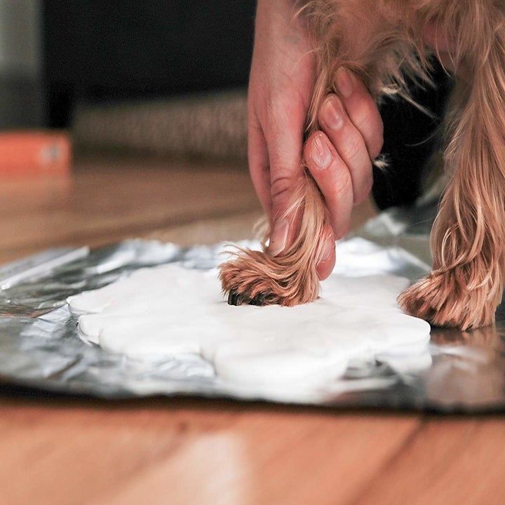 Person pressing dog's paw into clay 