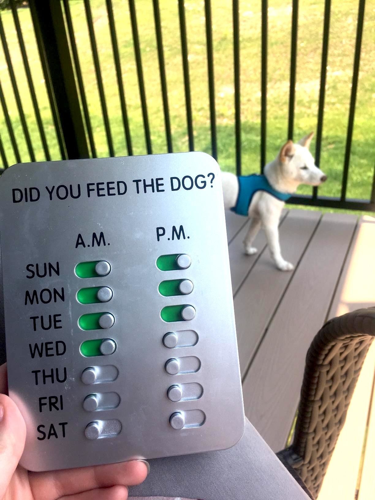 A reviewer holding the did you feed the dog device, which is labeled with the days of the weeks and columns for morning and evening. There are nobs to switch to green to indicate whether the dog has been fed