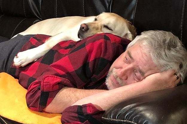 17 Dads Who Fell In Love With The Dogs They Never Wanted