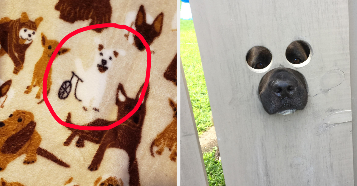 17 Really Wholesome Things To Remind You That Sometimes The World Is Great