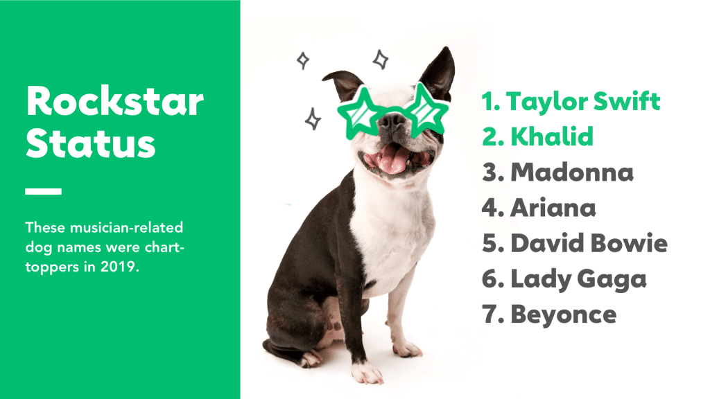 12 Unique Dog Names Inspired by Famous Dogs