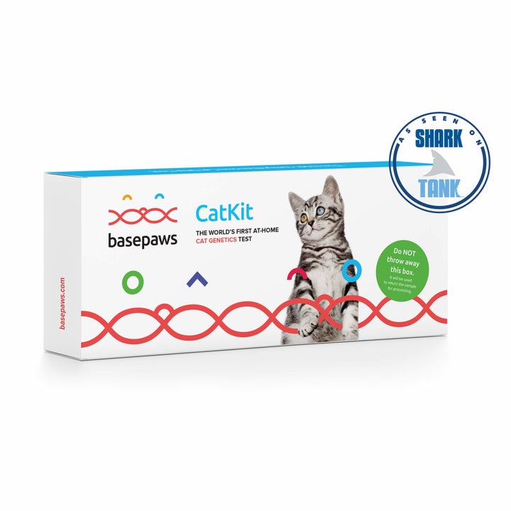 25 Of The Best Gifts For Pets You Can Get At Walmart