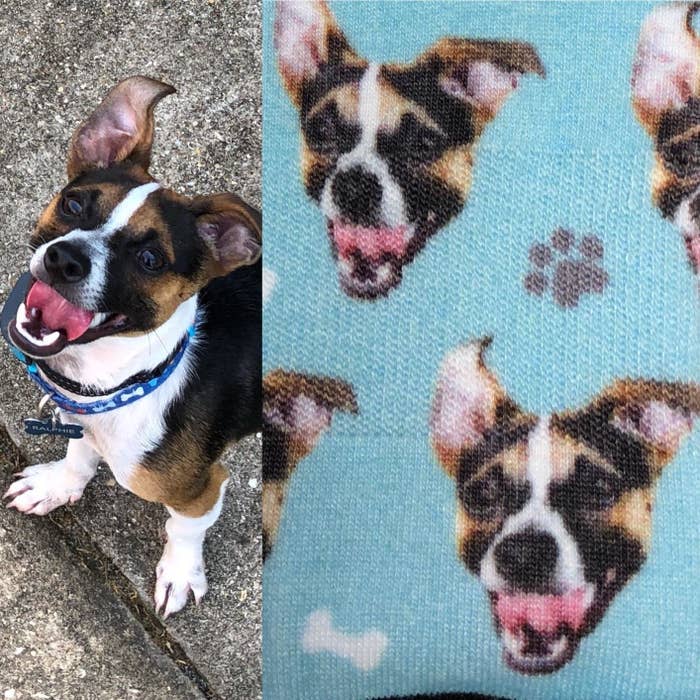 A reviewer&#x27;s dog and the dog&#x27;s face making a pattern on the customized socks