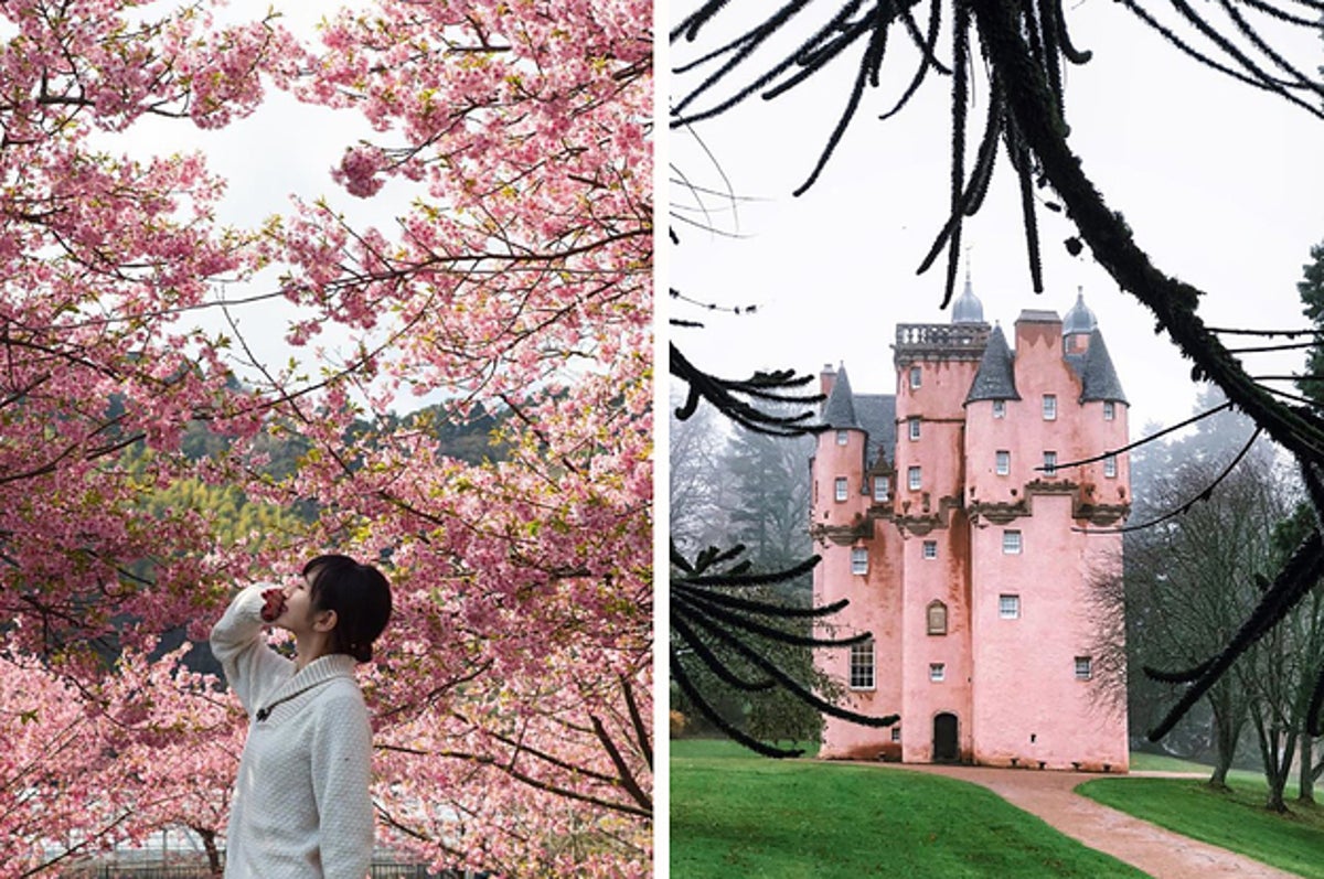 Best 10 Pink Places in the World