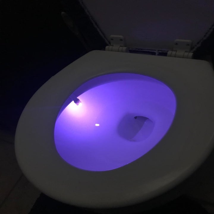 reviewer's toilet bowl glowing purple