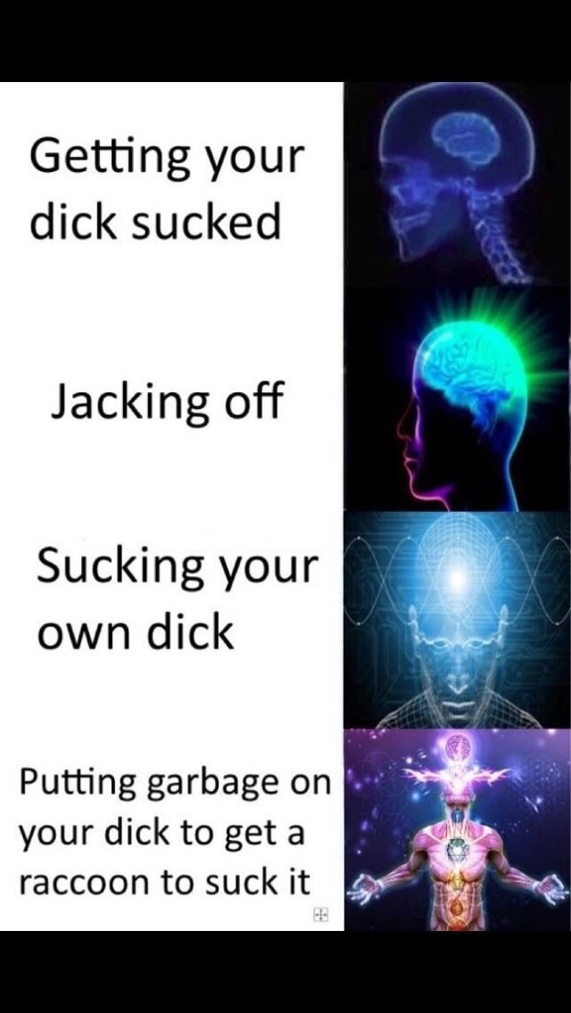 youre a dick meme