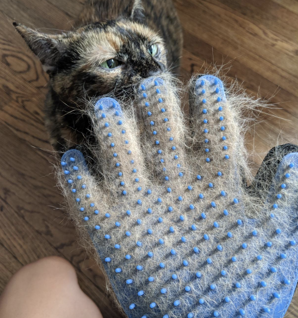 glove covered in cat fur 