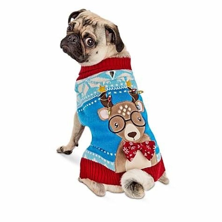49 Gifts You Ll Want To Give Your Dog This Year