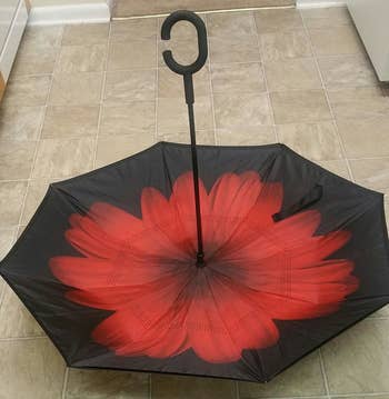 the same umbrella opened 