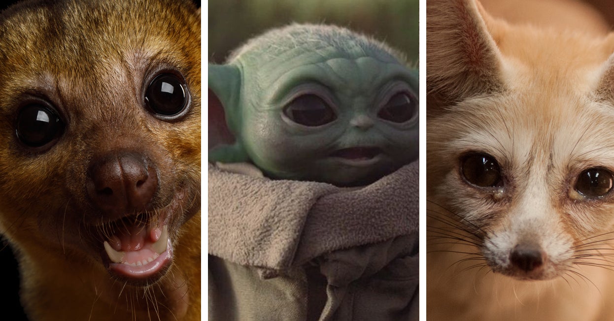 "The Mandalorian" Sound Editor Revealed How Baby Yoda's Voice Is Made