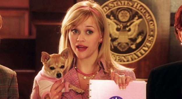 Quiz: Can You Actually Remember The Names Of These Movie Dogs?