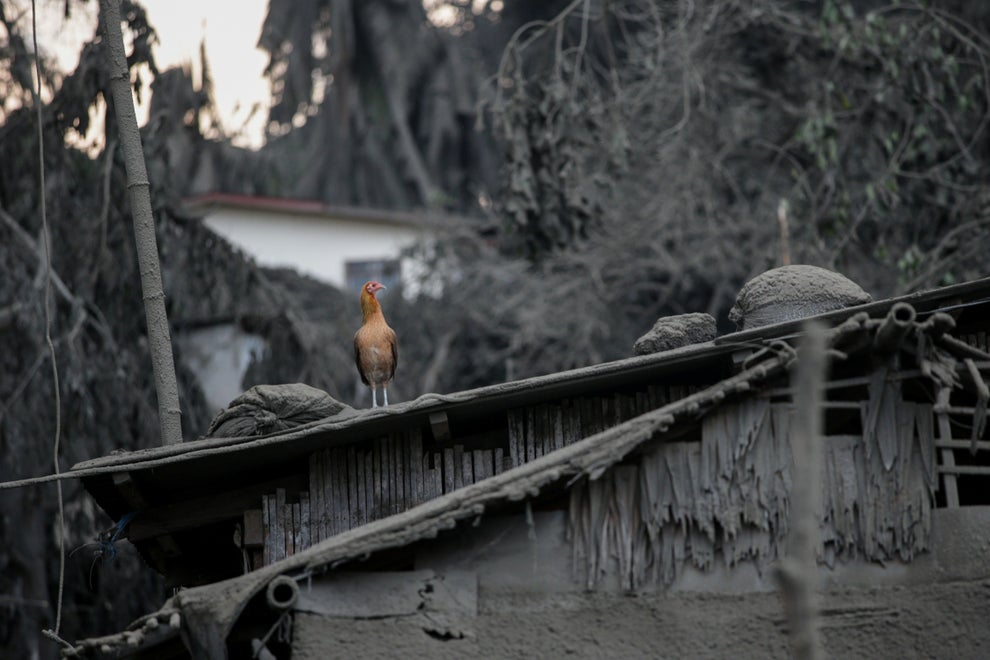 Taal Volcano: Lava Begins Spewing From Philippines Volcano