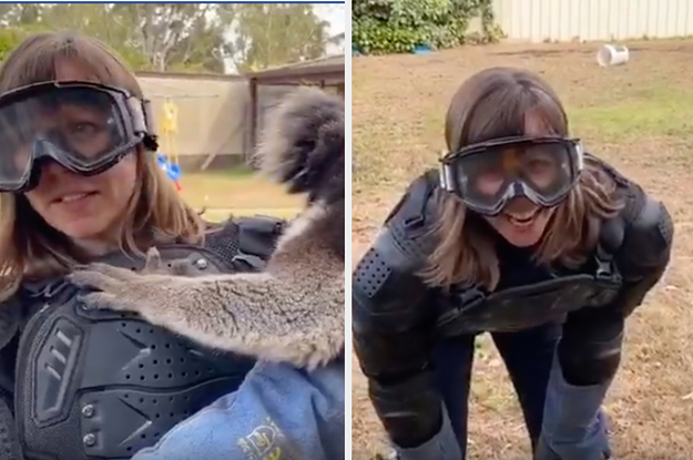 A TV Reporter Got Pranked With A Koala And It's One Of The Funniest Things You'll See Today