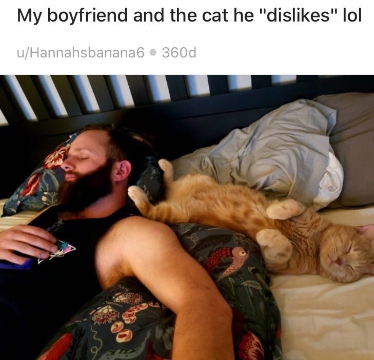 My cat best sale prefers my boyfriend