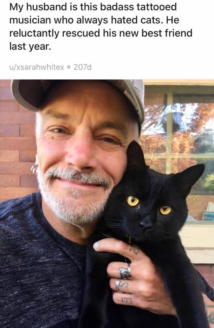 Boyfriends And Husbands Who Fell In Love With The Cats They Never