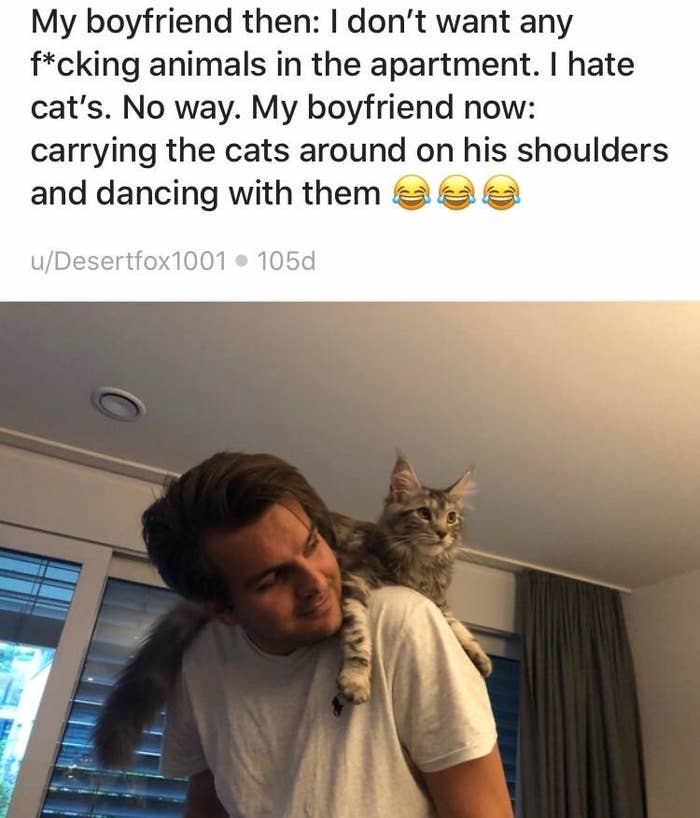 Boyfriends And Husbands Who Fell In Love With The Cats They Never