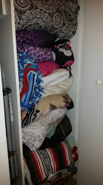This is a photo of a closet that's open. Blankets fill up the closet from the floor to the ceiling. There are at least 13 different blankets in varying thicknesses and colors.