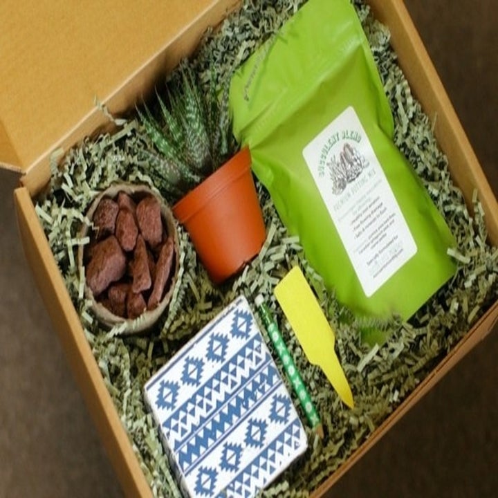 30 Of The Best Subscription Boxes To Help You Get Through Social Distancing