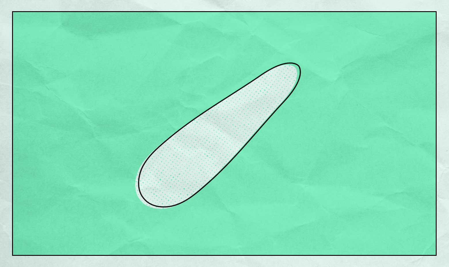 An illustration of an oblong toy