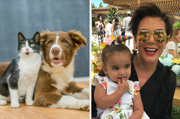 Tell Us About Your Grandmother And We'll Guess If You're A Dog Or Cat Person