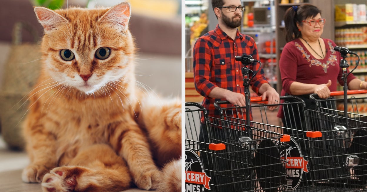 Quiz Go Grocery Shopping And We'll Tell You What Animal Matches Your