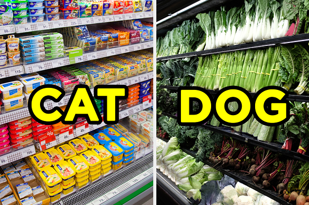 Everyone Has An Animal That Matches Their Personality â€” Go Grocery Shopping To Find Yours