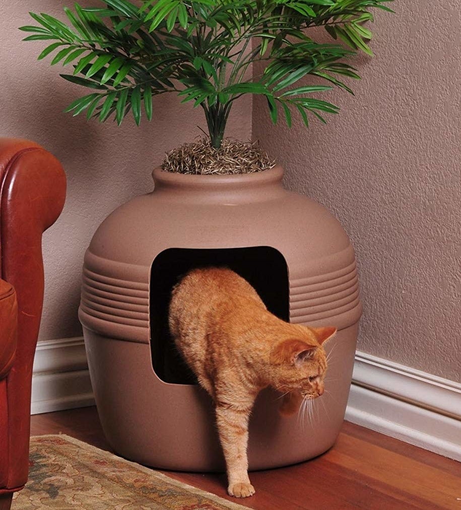 A cat emerges from the vase-like litterbox