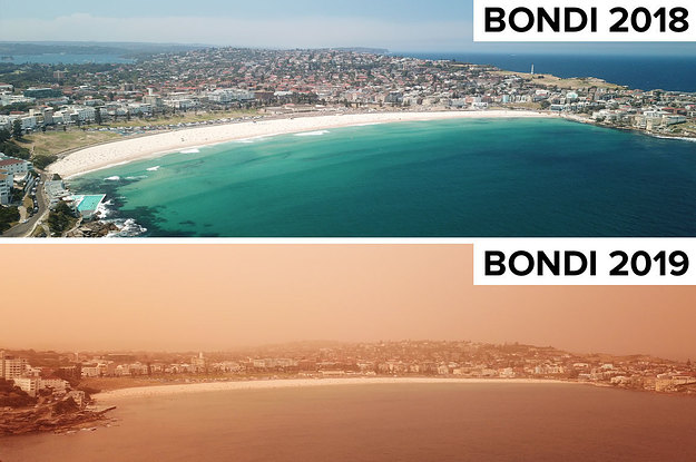 8 Before And Afters That Capture The Effect Of The Aussie Bushfires This Summer