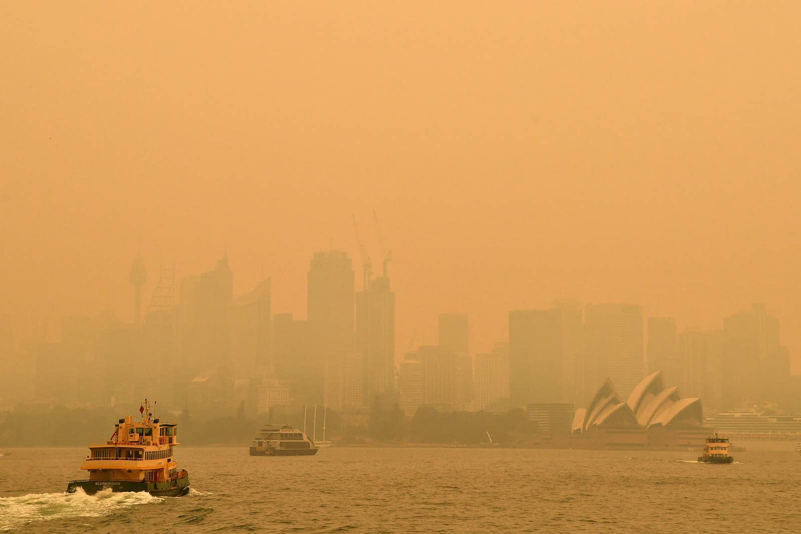 australian bushfire 2020 humanity 