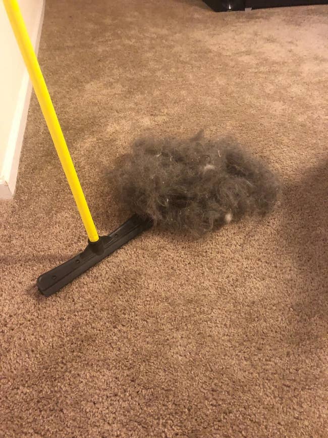 Reviewer's pile of hair and dust collected from carpet after using the broom device