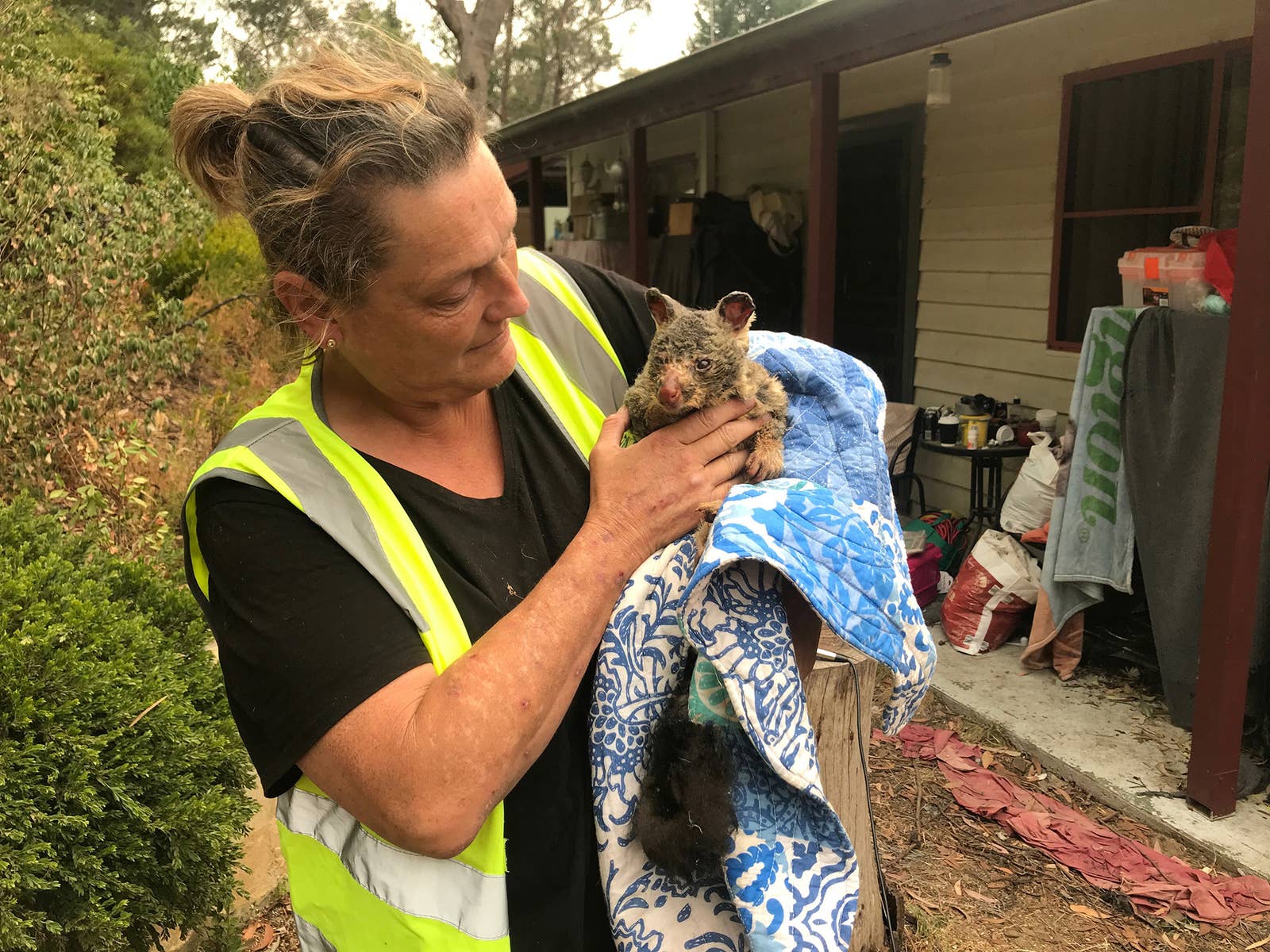 australian bushfire 2020 humanity rescuing an animal woman