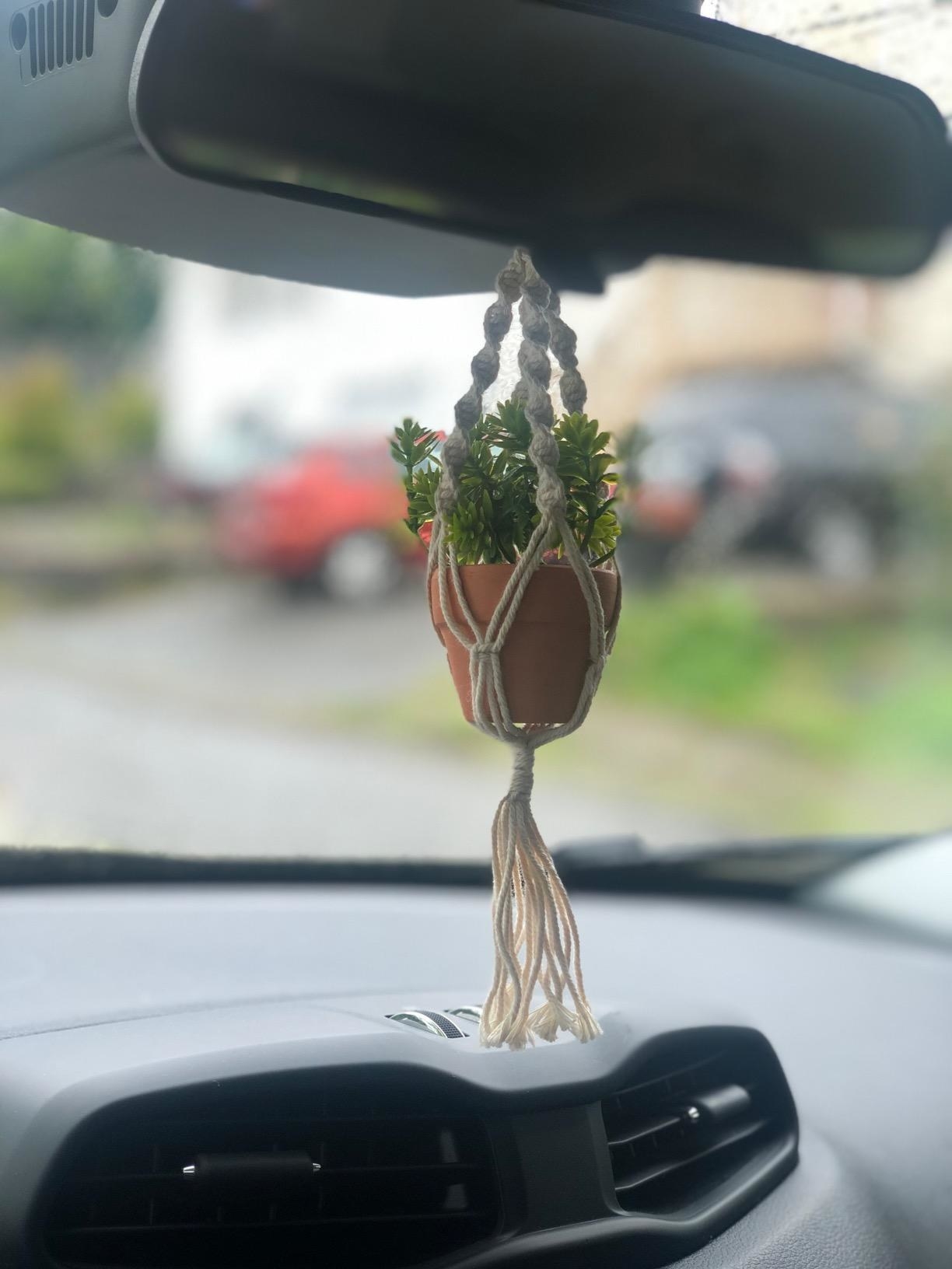 A rearview mirror with a mini fake plant in a macrame planter holder 