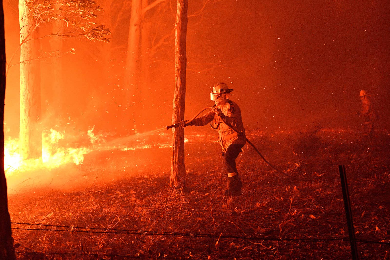 australian bushfire 2020 humanity firefighter 