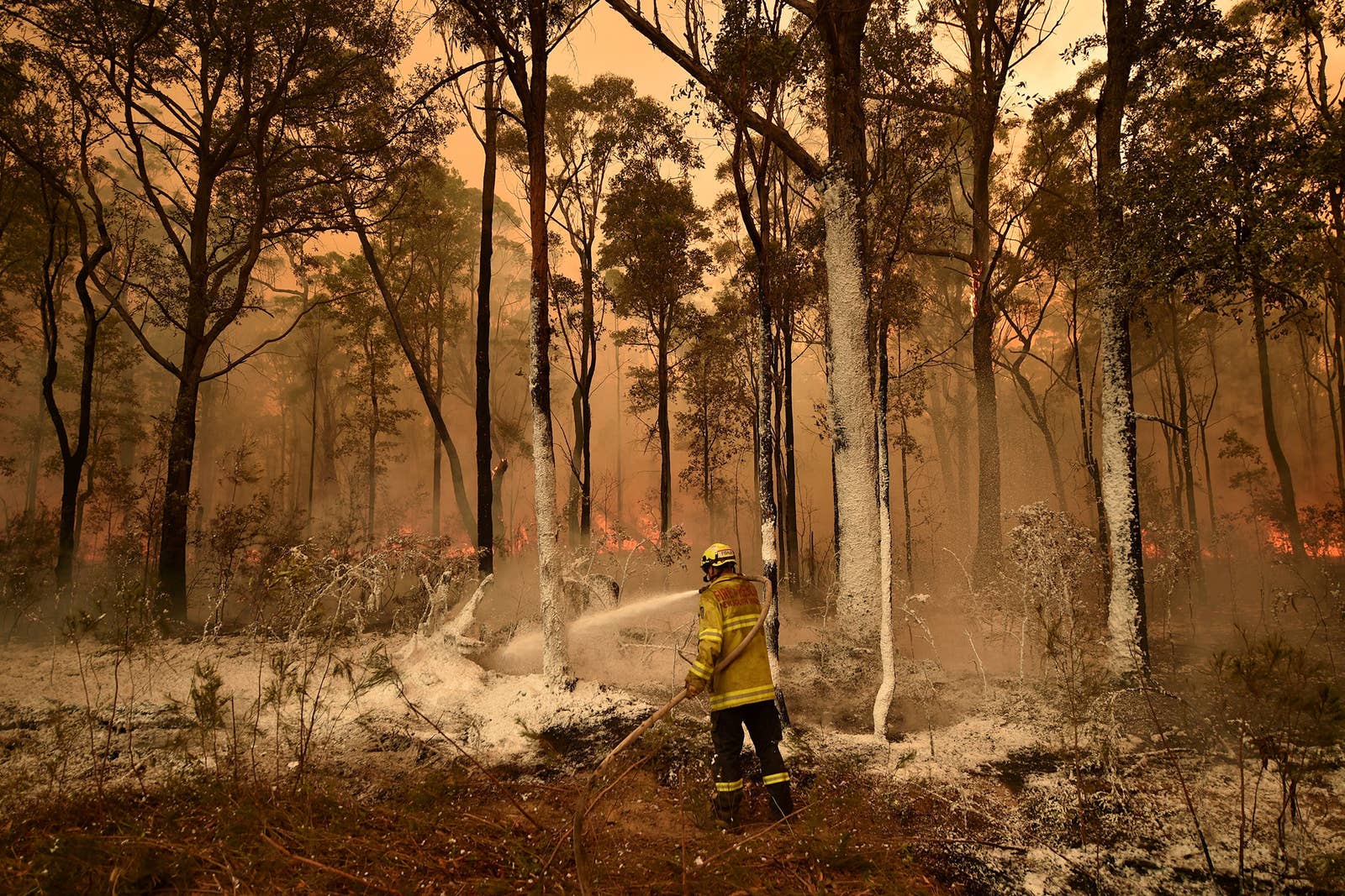 australian bushfire 2020 humanity fire fighter alone in the jungle