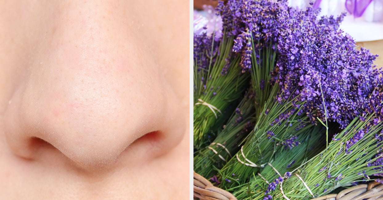 Quiz Everyone Has A Scent That Matches Their Personality — Here's Yours