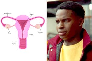 Ozbek ayoli uchun koz yoshlarigacha jinsiy aloqa Vitebskda jinsiy aloqa uchun qiz qidirilmoqda