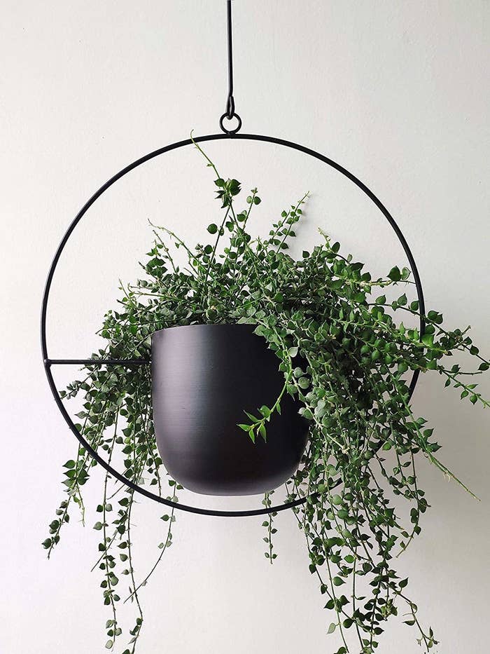 A black, circular planter with a fern inside that hangs from the ceiling. 