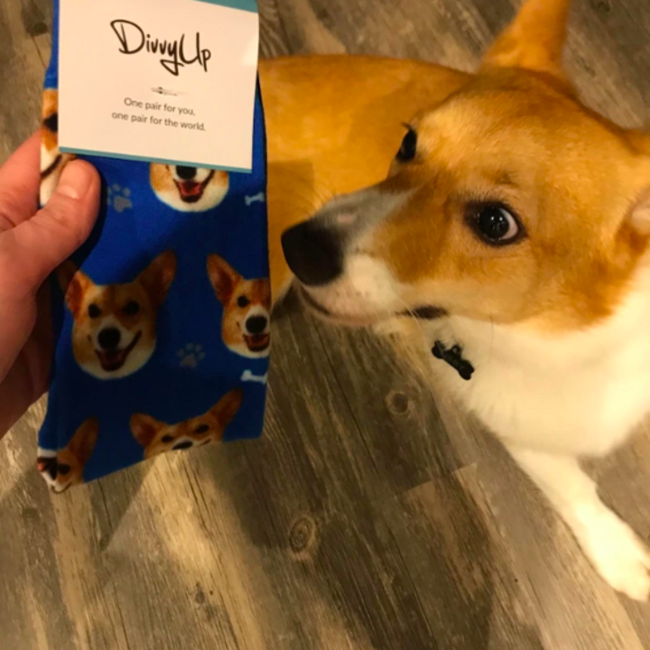 reviewer holding blue socks with their dog's face on it with their dog next to it