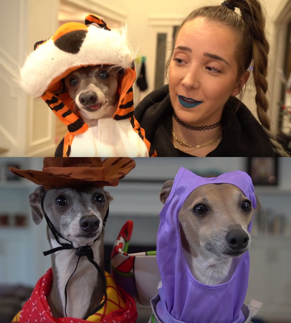 17 Jenna Marbles Kermit The Dog Moments