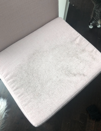 Reviewer image of a chair with lots of hair on it