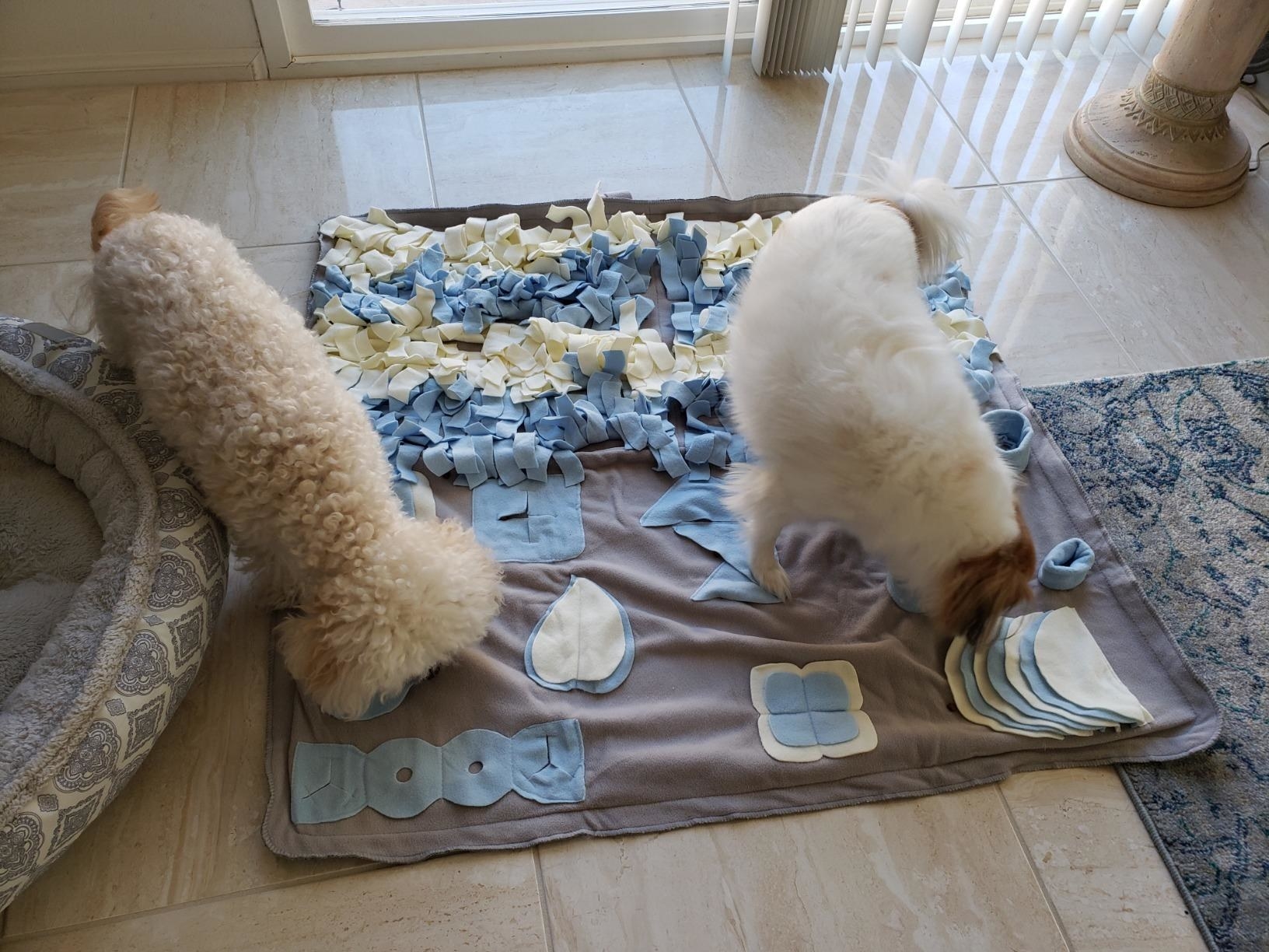 Two dogs with their noses in the activity mat