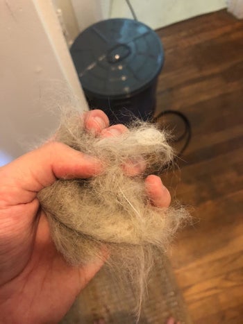 Reviewer holding a chunk of cat fur showing how effective the brush is at loosening fur
