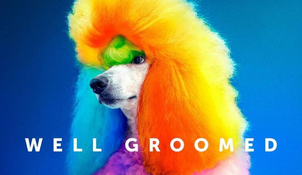 Well Groomed Hbo Documentary Everything You Need To Know