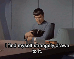 Gif of Spock holding a cat saying &quot;I find myself strangely drawn to it&quot;