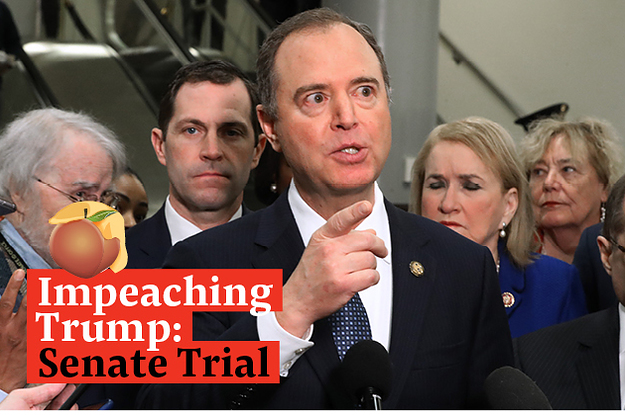 Watch Live: Democrats Warn Senators They Could Be Trump's Next Targets In Closing Impeachment Arguments