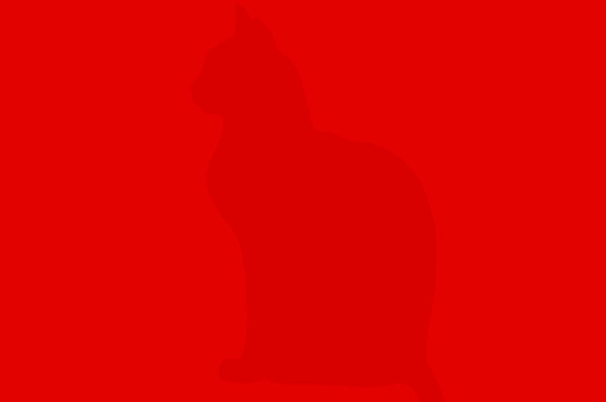 色彩能力者にしか見えない絵に隠れた動物 色彩能力者診断